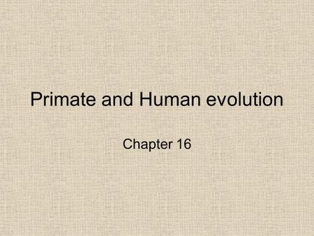 Primate and Human evolution