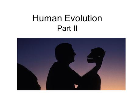 Human Evolution Part II