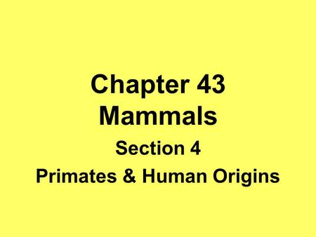 Section 4 Primates & Human Origins