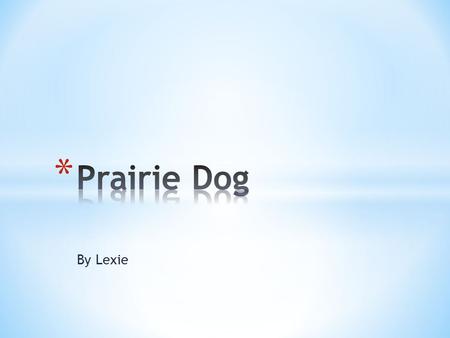 By Lexie. * The Prairie Dog is a small thing. It can be 12-15 inches long with a 2-3 inch tail. * It weighs 1-3 lbs. * It always has a black tail and.