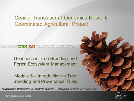Conifer Translational Genomics Network Coordinated Agricultural Project www.pinegenome.org/ctgn Genomics in Tree Breeding and Forest Ecosystem Management.