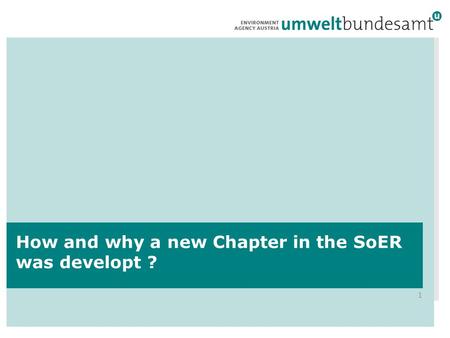 1 How and why a new Chapter in the SoER was developt ?