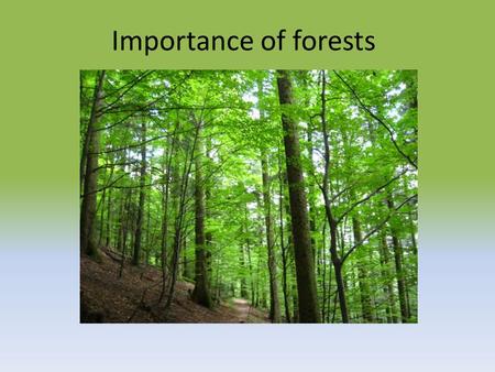Importance of forests. Why are forests important? They create oxygen Natural habitat of various types of animals It effects the water cycle Important.