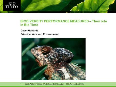 1EarthWatch Institute Workshop, RGS London 11th November 2005 BIODIVERSITY PERFORMANCE MEASURES – Their role in Rio Tinto Dave Richards Principal Adviser,