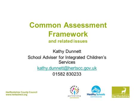 Common Assessment Framework and related issues