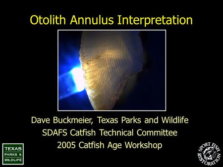 Otolith Annulus Interpretation Dave Buckmeier, Texas Parks and Wildlife SDAFS Catfish Technical Committee 2005 Catfish Age Workshop.