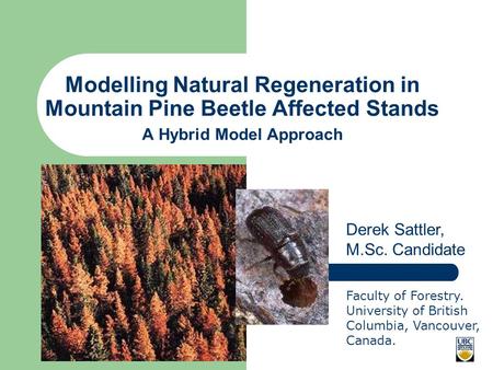 Modelling Natural Regeneration in Mountain Pine Beetle Affected Stands A Hybrid Model Approach Derek Sattler, M.Sc. Candidate Faculty of Forestry. University.