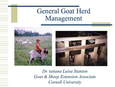 General Goat Herd Management Dr. tatiana Luisa Stanton Goat & Sheep Extension Associate Cornell University.