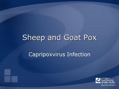 Capripoxvirus Infection