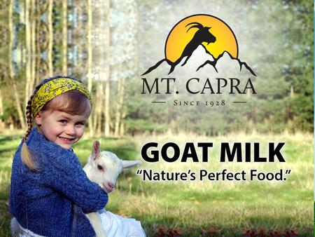 Goat milk is: #1 Goat Milk is the most popular dairy beverage in the world 65% of world pop. drinks goat’s milk There are several reasons for this popularity.