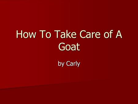 How To Take Care of A Goat by Carly. Taking Care of my Goat I like to take care of my goat. He is cute and he likes to jump on me. I like to take care.