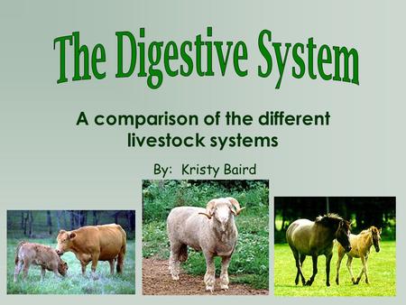 A comparison of the different livestock systems