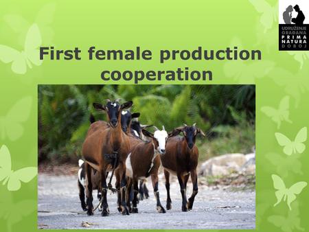 First female production cooperation. Content of the presentation  Sector of Industry  Objective of the project  Key characteristics and advantages.