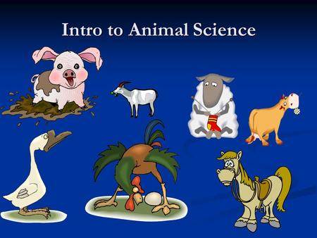 Intro to Animal Science. Assignment In groups, brainstorm to come up with at least 20 uses for or products produced from animals. You cannot use FOOD!