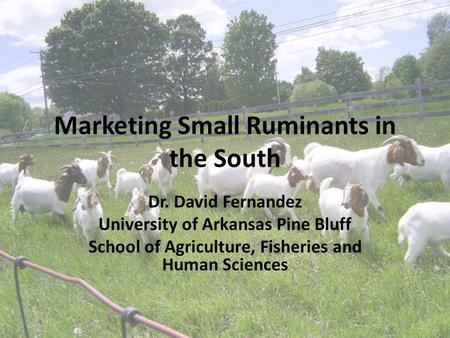Marketing Small Ruminants in the South Dr. David Fernandez University of Arkansas Pine Bluff School of Agriculture, Fisheries and Human Sciences.