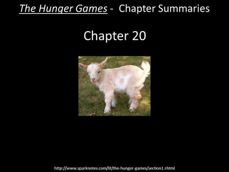 Chapter 20 The Hunger Games - Chapter Summaries