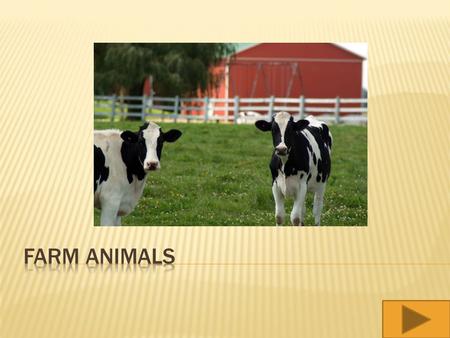  What kinds of animals live on farms?  What is the plural form for each animal name?  Who Am I? Animal name game.
