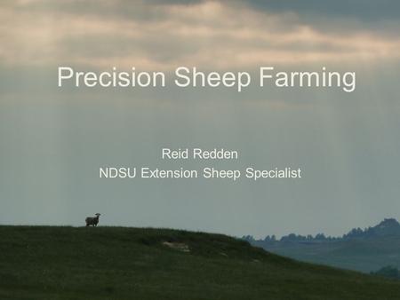 Precision Sheep Farming Reid Redden NDSU Extension Sheep Specialist.