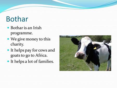 Bothar Bothar is an Irish programme. We give money to this charity. It helps pay for cows and goats to go to Africa. It helps a lot of families.
