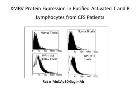 See using a flow cytometry assay expression of 3 goat poly clonal antibodies to purified viral proteins in both T and B cells but not in T cells from a.
