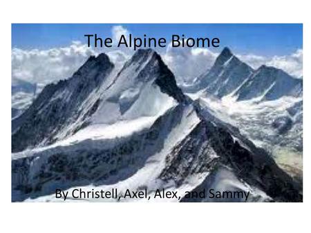 The Alpine Biome By Christell, Axel, Alex, and Sammy.