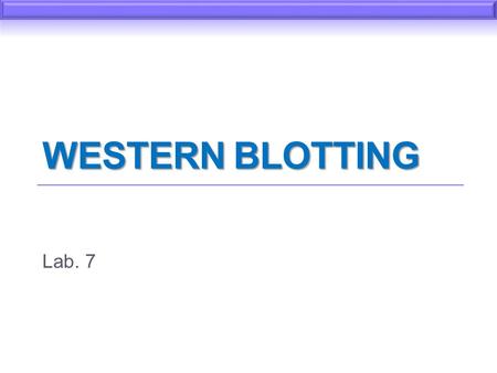Western Blotting Lab. 7.