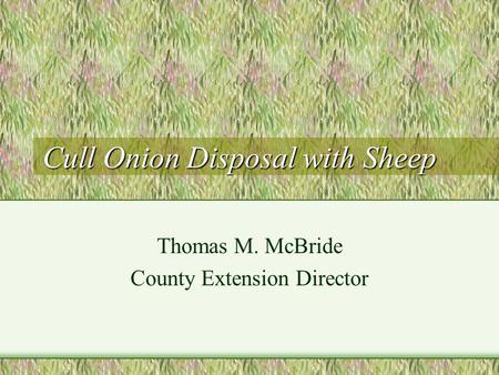Cull Onion Disposal with Sheep Thomas M. McBride County Extension Director.