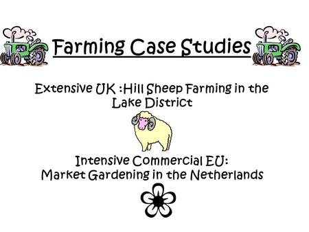 Farming Case Studies Extensive UK :Hill Sheep Farming in the Lake District Intensive Commercial EU: Market Gardening in the Netherlands.