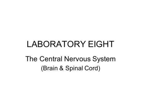 The Central Nervous System (Brain & Spinal Cord)