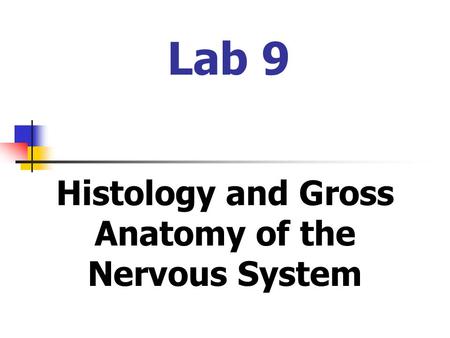 Histology and Gross Anatomy of the Nervous System
