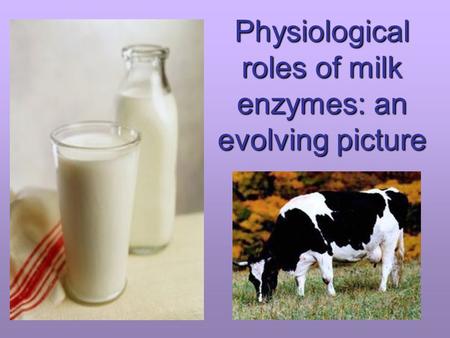 Physiological roles of milk enzymes: an evolving picture.