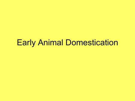 Early Animal Domestication. Locations for Initial Domestication Animals have been domesticated on every continent that has developed a food producing.