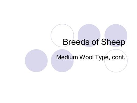 Breeds of Sheep Medium Wool Type, cont.. A quick review As you will recall, yesterday we took a look at 6 breeds of Medium Wool Sheep, what were they?