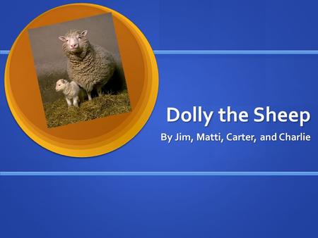 Dolly the Sheep By Jim, Matti, Carter, and Charlie.