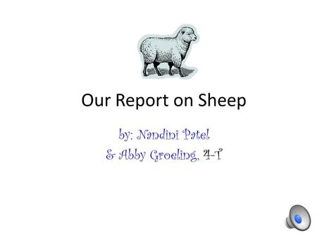 Our Report on Sheep by: Nandini Patel & Abby Groeling, 4-T.