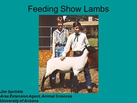 Feeding Show Lambs Jim Sprinkle Area Extension Agent, Animal Sciences University of Arizona.
