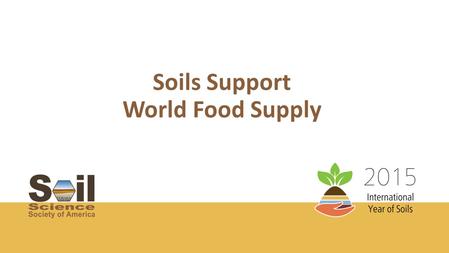 Soils Support World Food Supply. Where Does Your Food Come From? Plants Animals Energy obtained from plants Animal Products (Milk)