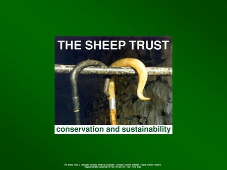 The Sheep Trust, a charitable company limited by guarantee. Company Number 4284999, Charity Number 1094514. Registered office University of York, PO Box.