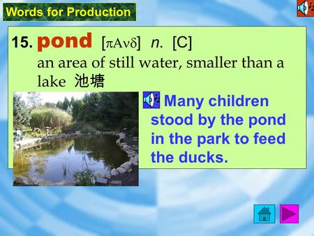 Words for Production 15. pond [ pAnd ] n. [C] an area of still water, smaller than a lake 池塘 Many children stood by the pond in the park to feed the ducks.