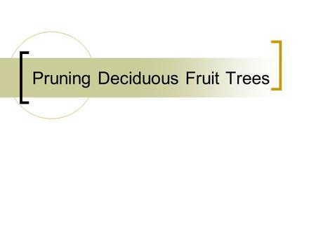 Pruning Deciduous Fruit Trees. Plant food supplies: their source & use Carbohydrates stored in the roots that were produced the prior year. Used for early.