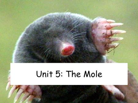 Unit 5: The Mole.