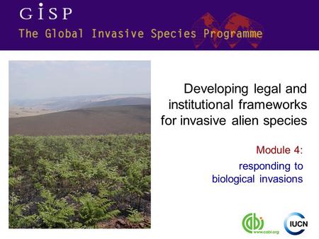 Module 4: responding to biological invasions Developing legal and institutional frameworks for invasive alien species.