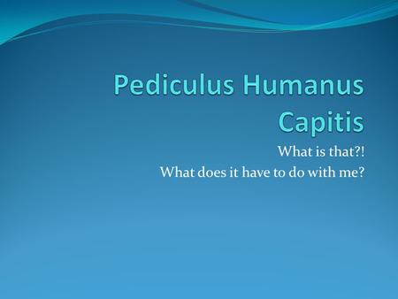 Pediculus Humanus Capitis