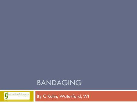 BANDAGING By C Kohn, Waterford, WI. Not all wounds heal equally.  Not all wounds heal equally. More-serious wounds take longer to heal.  Individual.