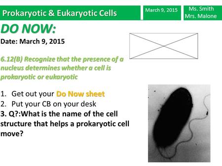Prokaryotic & Eukaryotic Cells March 9, 2015 DO NOW: Date: March 9, 2015 6.12(B) Recognize that the presence of a nucleus determines whether a cell is.