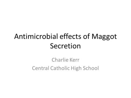 Antimicrobial effects of Maggot Secretion Charlie Kerr Central Catholic High School.