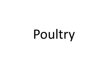 Poultry. Introduction Poultry is one of the most common food items used in the catering industry with Chicken being by far the most popular. The flesh.