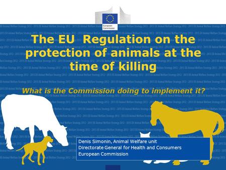 The EU Regulation on the protection of animals at the time of killing What is the Commission doing to implement it? Denis Simonin, Animal Welfare unit.