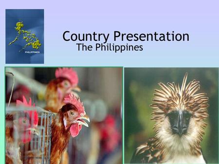 Country Presentation The Philippines. 1. Latest HPAI Situation Update Philippines is still an AI-free country Threat Assessment: a.Illegal trade of live.