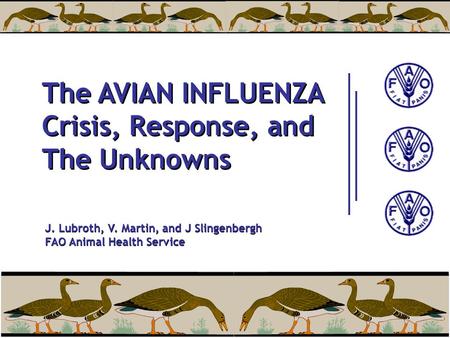 The AVIAN INFLUENZA Crisis, Response, and The Unknowns J. Lubroth, V. Martin, and J Slingenbergh FAO Animal Health Service J. Lubroth, V. Martin, and J.